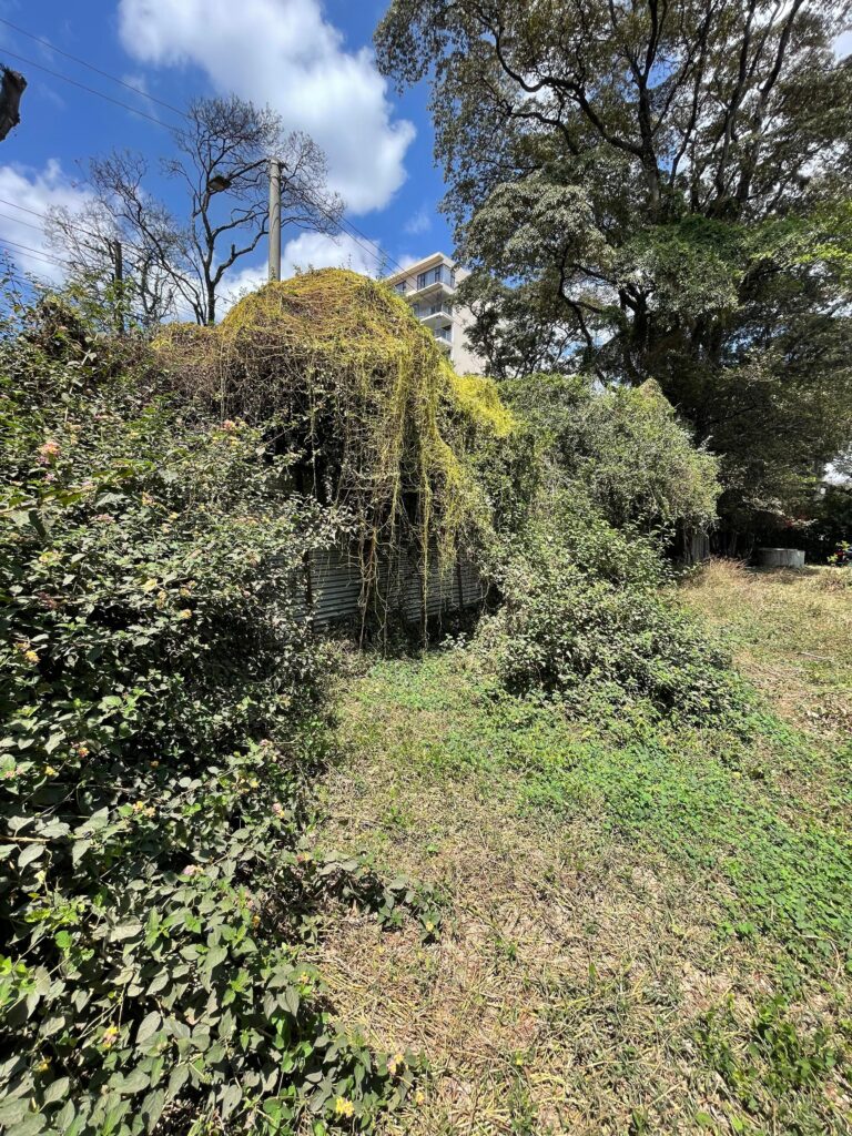 Prime 1.347-acre property for sale in Lavington, Riara Road